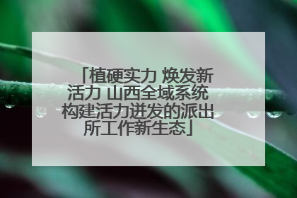 植硬实力 焕发新活力 山西全域系统构建活力迸发的派出所工作新生态